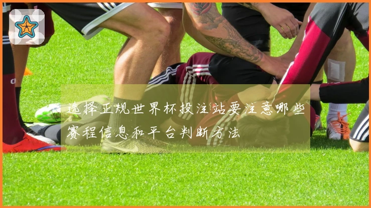 选择正规世界杯投注站要注意哪些赛程信息和平台判断方法