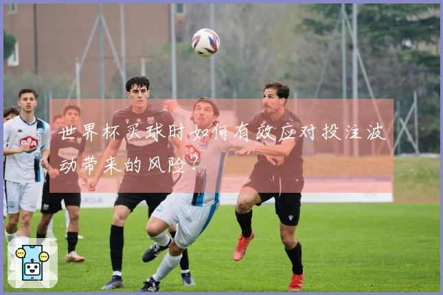 世界杯买球时如何有效应对投注波动带来的风险？