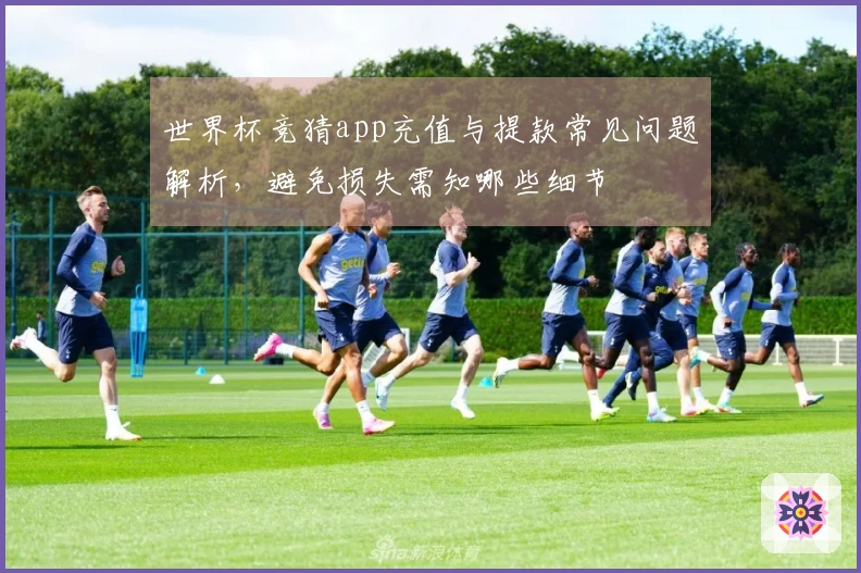 世界杯竞猜app充值与提款常见问题解析，避免损失需知哪些细节
