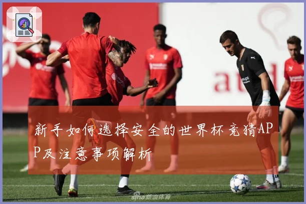 新手如何选择安全的世界杯竞猜APP及注意事项解析