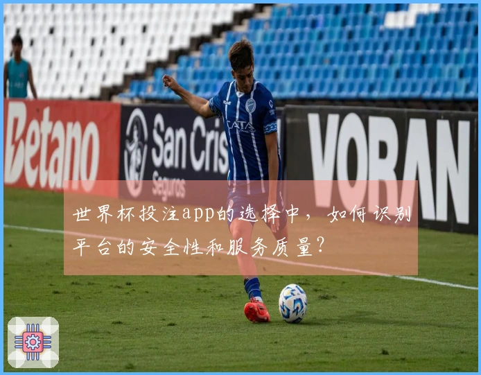 世界杯投注app的选择中，如何识别平台的安全性和服务质量？