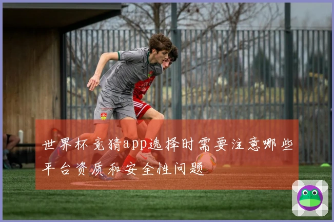 世界杯竞猜app选择时需要注意哪些平台资质和安全性问题