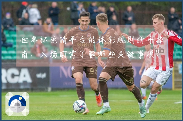 世界杯竞猜平台的体彩规则新手指南，入场前需了解哪些关键事项？