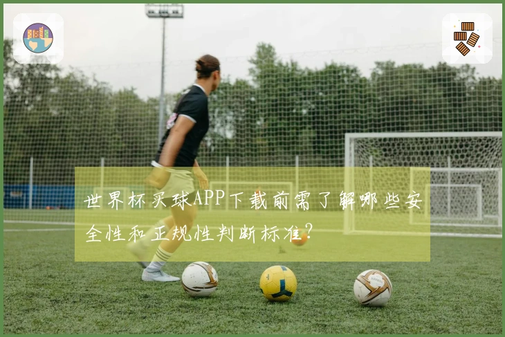 世界杯买球APP下载前需了解哪些安全性和正规性判断标准？