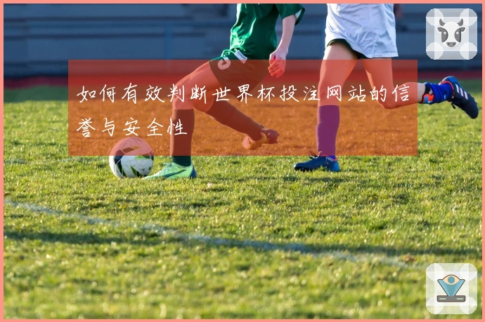 如何有效判断世界杯投注网站的信誉与安全性