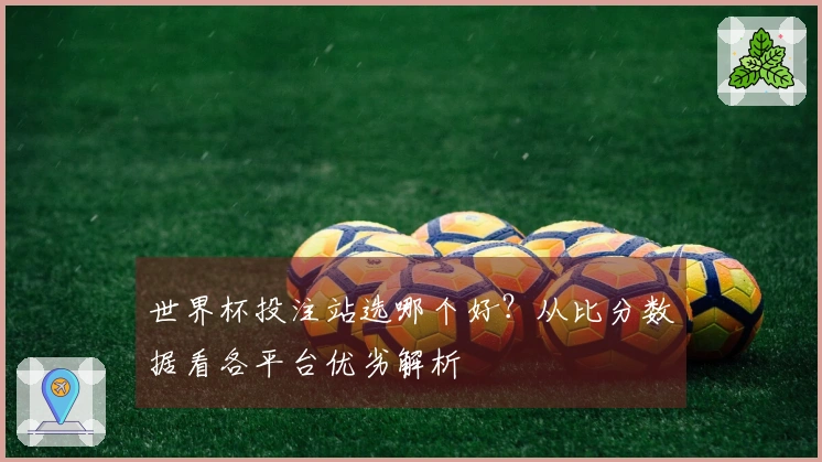 世界杯投注站选哪个好？从比分数据看各平台优劣解析