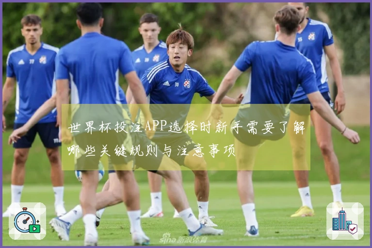 世界杯投注APP选择时新手需要了解哪些关键规则与注意事项