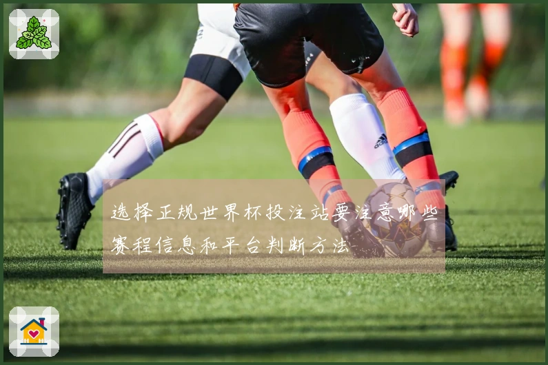 选择正规世界杯投注站要注意哪些赛程信息和平台判断方法