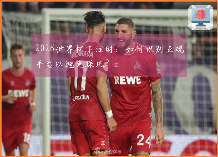 2026世界杯下注时，如何识别正规平台以避免踩坑？