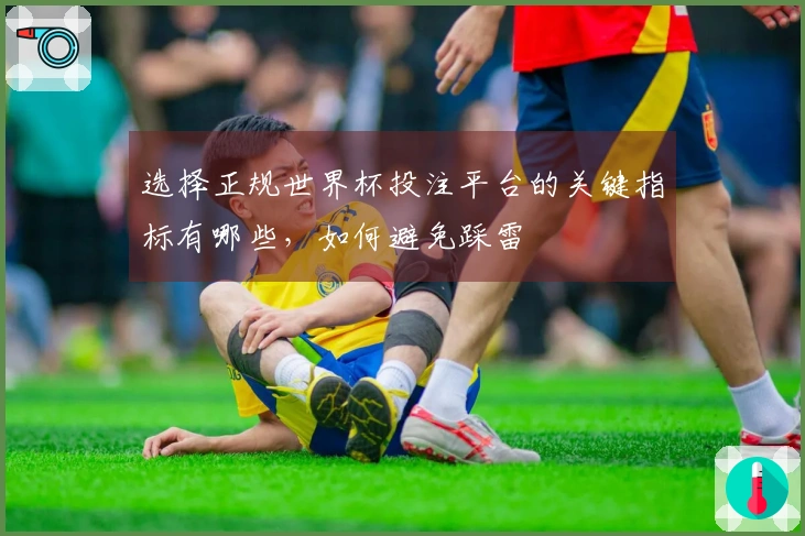 选择正规世界杯投注平台的关键指标有哪些，如何避免踩雷