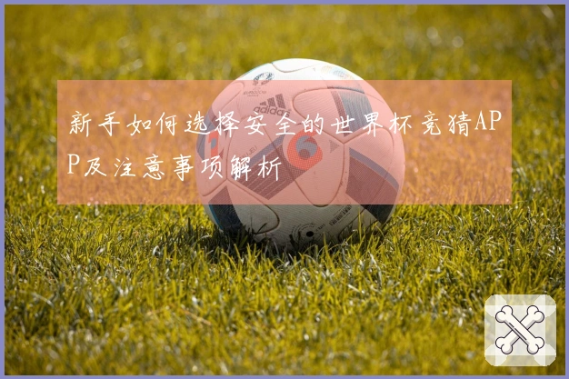 新手如何选择安全的世界杯竞猜APP及注意事项解析