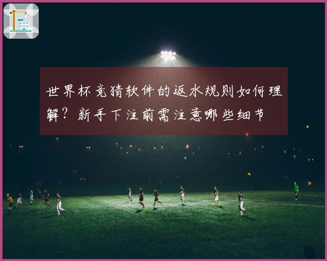 世界杯竞猜软件的返水规则如何理解？新手下注前需注意哪些细节