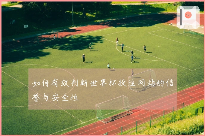 如何有效判断世界杯投注网站的信誉与安全性