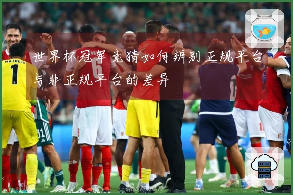 世界杯冠军竞猜如何辨别正规平台与非正规平台的差异