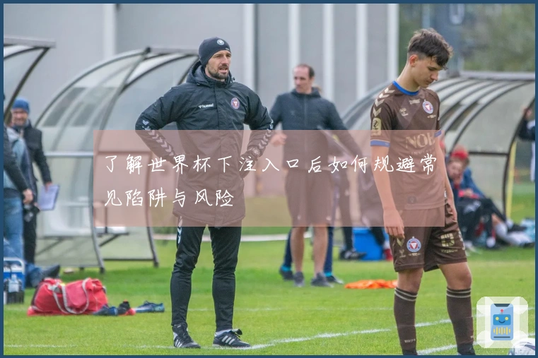 了解世界杯下注入口后如何规避常见陷阱与风险