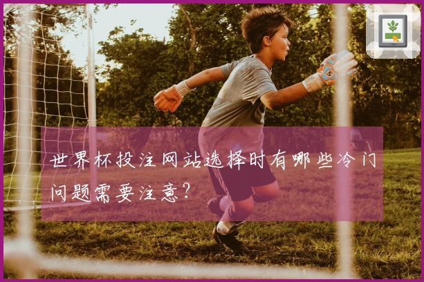 世界杯投注网站选择时有哪些冷门问题需要注意？
