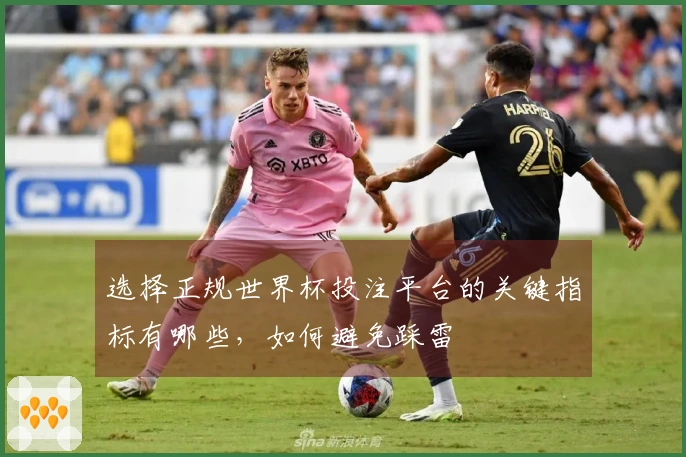 选择正规世界杯投注平台的关键指标有哪些，如何避免踩雷