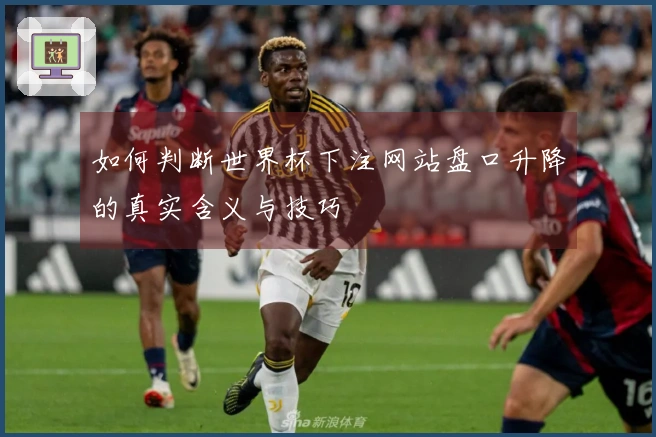如何判断世界杯下注网站盘口升降的真实含义与技巧
