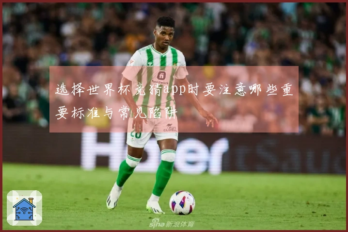 选择世界杯竞猜app时要注意哪些重要标准与常见陷阱