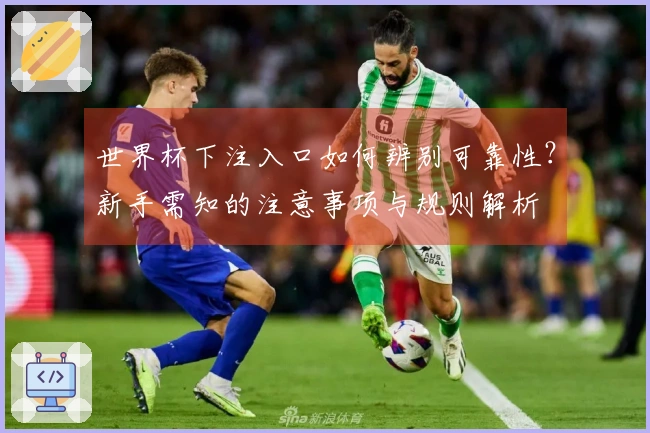 世界杯下注入口如何辨别可靠性？新手需知的注意事项与规则解析