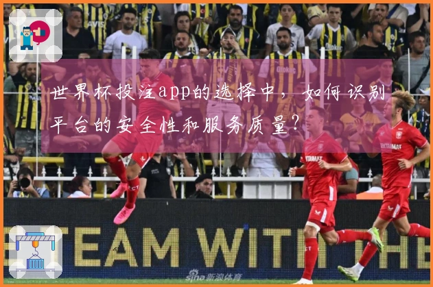 世界杯投注app的选择中，如何识别平台的安全性和服务质量？