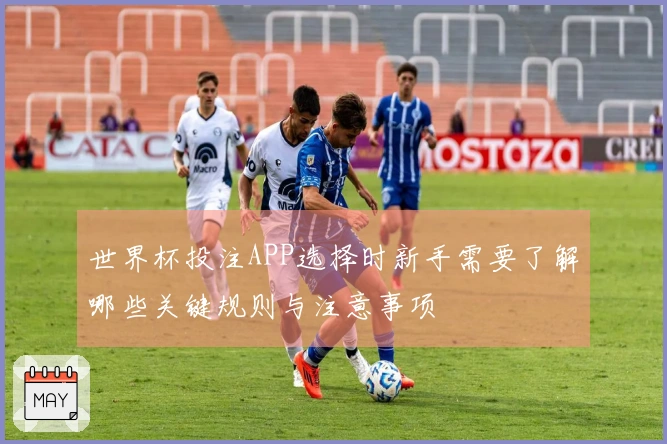 世界杯投注APP选择时新手需要了解哪些关键规则与注意事项