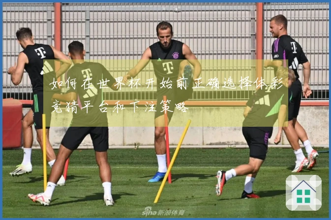 如何在世界杯开始前正确选择体彩竞猜平台和下注策略