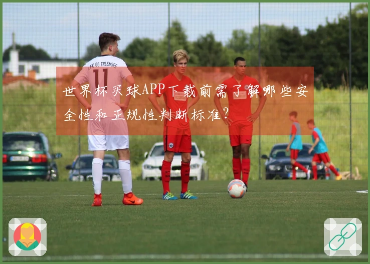 世界杯买球APP下载前需了解哪些安全性和正规性判断标准？