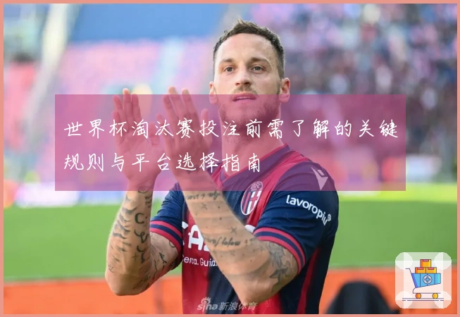 世界杯淘汰赛投注前需了解的关键规则与平台选择指南