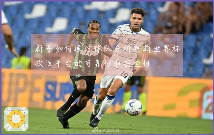新手如何通过球队分析判断世界杯投注平台的可靠性和安全性