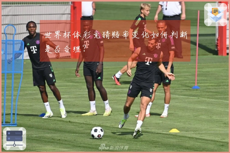 世界杯体彩竞猜赔率变化如何判断是否合理？