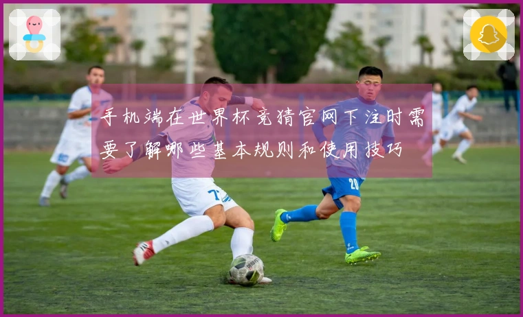 手机端在世界杯竞猜官网下注时需要了解哪些基本规则和使用技巧