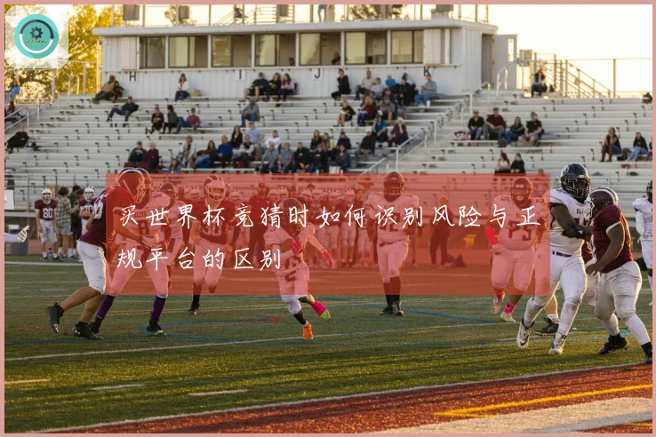买世界杯竞猜时如何识别风险与正规平台的区别